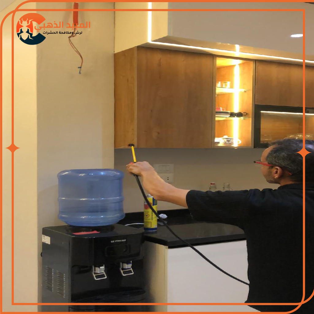 مشروع جديد (3)