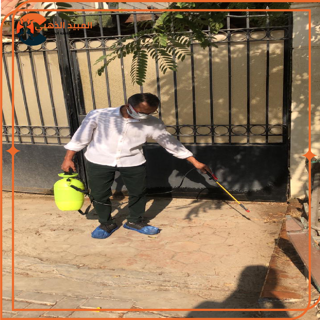 مشروع جديد (4)